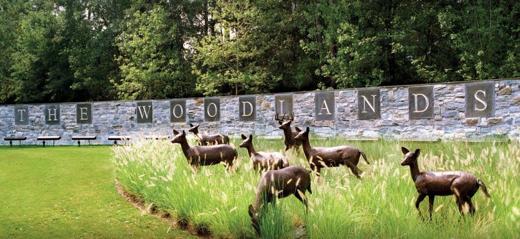 Surface restoration services in The Woodlands TX